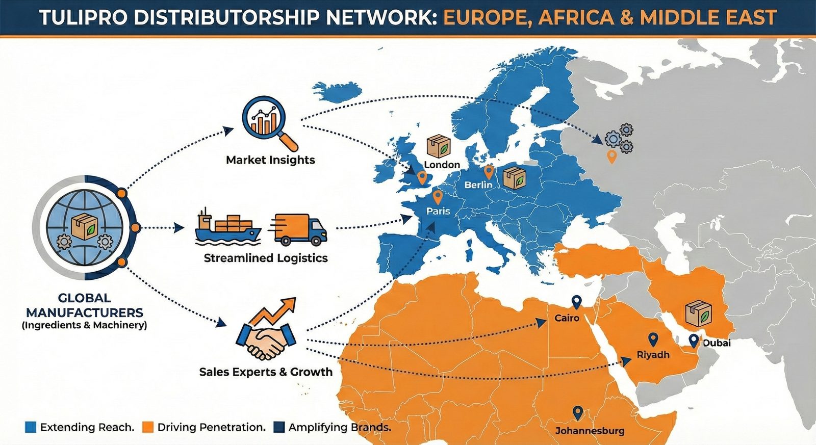 Map showing Tulipro distributorship network in Europe, Africa, and the Middle East with highlighted cities: London, Berlin, Paris, Cairo, Riyadh, Dubai and Johannesburg